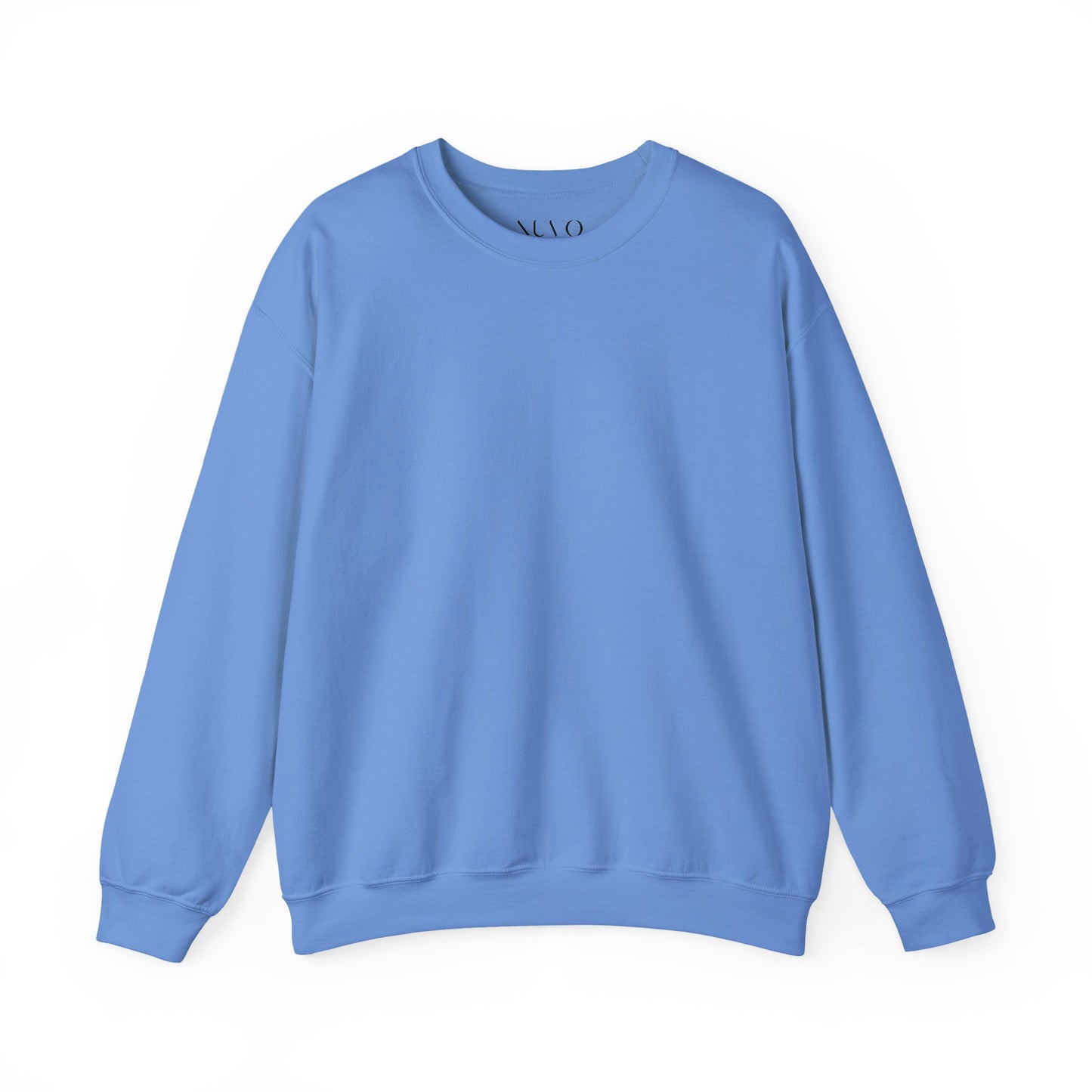 blue sweatshirt 